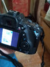 佳能/Canon 60D 70D 80D 77D 90D 二手单反相机 半画幅中端级数码相机 80D+佳能18-200mm套机 99新 实拍图