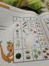 恐龙小Q  数学思维扩展游戏（测量与数字、对应与排序、时空和守恒、货币与代换）套装全4册 实拍图