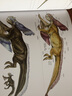 国际插画大师惠特拉奇的动物画教程：创造奇幻生物的法则 实拍图