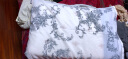 RoyalLatex 乳胶枕泰国原装进口皇家天然乳胶成人枕头枕芯柔弹透气护颈枕 豪华面包乳胶枕【梦享版】 实拍图