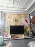 惠菲乐 定制5d电视背景墙壁纸中式玉雕家和无纺布墙纸壁画客厅影视墙无缝墙布 美国透气无纺布/每平方米 每平方 实拍图