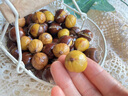鲜合作（XIANHEZUO）【顺丰发货】2025年现摘福建特产建瓯高山锥栗圆尖油栗子新鲜板栗 实拍图