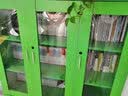 百年百部经典书系 奇异的红星 小学生课外阅读 小学5-6年级阅读拓展书目  10-14岁 实拍图