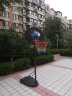 双航 篮球架 室内家用篮球框球架 户外可升降可移动标准高度篮球架 3.4米款(篮筐高度1.2-3.05米) 实拍图
