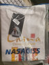 NASA GISSNASA官网联名短袖t恤男国潮China故宫半袖纯棉新款夏季宽松男装 NA24-白色 XL  建议150-170斤 实拍图