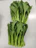 東昇供港菜心300g菜薹新鲜时蔬食品嫩甜现摘火锅白灼 供港蔬菜 实拍图