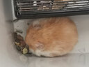 宠尚天 仓鼠木屑刺猬保暖除湿金丝熊龙猫荷兰猪用品宠物木屑兔子垫料 无尘宠物纸棉4包 实拍图