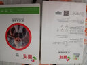 普伟 相纸照片纸 彩色照片打印纸RC防水多涂层适用惠普爱普生佳能喷墨打印机高光面相片纸 RC防水7英寸细绒相纸（100/包） 实拍图