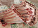 绿之邦（Luzhibang）内蒙古原切羊排新鲜羔羊肋排羊排骨羊肩排烧烤火锅食材羊肉 生鲜 内蒙羊排（切块）净重2.5斤 实拍图