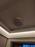 飞稳吊扇灯带蓝牙音响轻奢水晶隐形风扇灯餐厅卧室客厅带电风扇吊灯 带蓝牙音响-吸顶款_48寸遥控/APP 实拍图