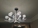 韵钰 欧式客厅吊灯大气家用法式餐厅吊灯轻奢水晶卧室灯具陶瓷吊灯 18头-配全光谱三色光源 实拍图