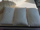 妙睡宝（miaoshuibao） 五星酒店羽丝绒枕芯 德国防螨抗菌家用高弹枕头可水洗纤维护颈 防螨抗菌【高枕一只装】 实拍图