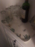 希尔（SHALL） 欧式长方形加厚密胺托盘 酒店家用塑料茶盘餐盘水果盘 冬日雪樱中号15英寸 实拍图