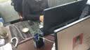 恒源祥100%纯羊毛男士V领薄款修身针织衫毛衣15001002 黑灰 185/100A  实拍图