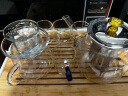 瓷牌茗茶具（cipaiming teaset）玻璃茶具套装家用茶盘整套带过滤茶壶加厚耐热泡茶壶茶杯大容量 雅趣大容量 11件 晒单实拍图