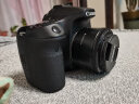 佳能/Canon EF 50 1.8 II STM 501.4 USM 二手单反小痰盂定焦人像镜头 95新 佳能 EF 50mm f/1.8 II 实拍图