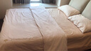 南极人床上四件套纯棉100%纯棉简约床品纯色被套床单床笠款被罩4件套 山茶花-米杏-BJY【纯棉水洗棉】  1.5-床单款四件套-被套200x230cm 实拍图