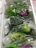 首诚高端蔬菜免洗采摘即食轻食沙拉西餐火锅鲜活首诚植物工厂采摘直发 羽衣甘蓝（10袋） 实拍图