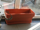 春枝韵 种菜神器阳台室内蔬菜种植花盆长方形种菜盆塑料长条盆蔬菜阳台 环保菜盆砖红色+拖盘 特大号50cm 实拍图
