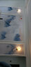 全铜新中式LED壁灯客厅壁画灯卧室床头灯中式田园现代背景墙装饰过道走廊珐琅彩铸铜纯铜灯饰灯具 8894-喜上梅梢(左右一对) LED三色温 实拍图