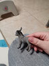 思乐（Schleich S）新年礼物仿真农场家禽动物模型羊驼猪兔羊驴猪火鸡男女孩儿童玩具 小驴13746 实拍图