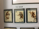 四地藏品  T字头邮票 T25-T48 邮票 套票 收藏 T40 东北虎邮票 套票 实拍图