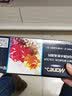 马利（Marie's） 水粉颜料套装 儿童画工具初学者绘画套装玛丽色彩颜料画美术生专用手绘涂鸦颜料 12色/5ml 【送画笔1支】 马利水粉颜料 实拍图