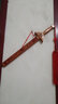 福光普照桃木剑婴儿防惊吓真桃木法器正宗挂件客厅朱砂剑道士肥城老桃木 58cm朱砂四神兽剑 实拍图