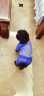 SLPC狗狗衣服小型犬冬装泰迪比熊博美狗衣服宠物棉服四脚小狗衣服 蓝色 L（6-8.5斤） 晒单实拍图