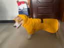 SLPC狗狗雨衣中型犬柯基雨衣泰迪小狗雨衣防水博美雪纳瑞法斗大狗雨披 黄色 4XL（适合28到35斤左右） 实拍图