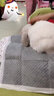 暮秋小主血统宠物兔垂耳兔活体大型安哥拉长毛迷你侏儒猫猫兔活物已做疫苗 单血统霜白垂耳兔（公母备注） 实拍图