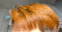 萡素网红色系染发剂植物天然纯盖白发不伤发自然黑色染膏头发颜色染膏 脏橘色(网红色） 实拍图