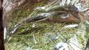 品茸堂 石竹茶  青竹叶 竹叶茶 竹叶茶叶 淡竹叶茶 花草茶 石竹茶100g 实拍图