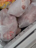 诺斯食美老鸭子土鸭麻鸭农家散养鸭子肉整只 3年老鸭4.5-5斤左右 实拍图