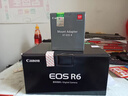 佳能r6 打鸟摄影器材全画幅微单vlog相机 机身4K拍摄小型轻量微单相机 R6机身拆+EOS R【转接环卡口适配器】 官方标配【不含内存卡相机包等必要配件 推荐选套餐】 实拍图