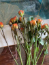 花点时间（Reflower）鲜花玫瑰花束云南昆明基地直发百合向日葵送女友生日礼物 多头玫瑰10枝-30-50个花头（颜色随机） 实拍图