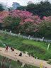 特步运动鞋男士跑步鞋子男皮面秋季潮流透气轻便耐磨学生休闲男鞋网潮 力荐-白色0077 -皮面防水 41 实拍图