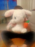 快乐音符会学说话的兔子复读玩偶唱歌跳舞小白兔儿童电动毛绒玩具公仔女孩 白色大耳朵兔 官方标配（USB直充+遥控器） 实拍图