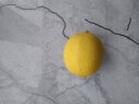 京鲜生 安岳黄柠檬 8粒 单果约95-120g 生鲜水果 实拍图