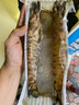 乐鲟汇生鲜 龙虾 大龙虾 青龙虾海鲜水产鲜活冷冻海鲜大虾年货海鲜礼盒 【巨大号】3只各1-1.2斤青龙虾 实拍图