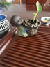 宇轩 创意紫砂茶宠琴棋书画摆件手工小花器水培花插茶玩茶盘摆件 实拍图