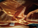 简蜓小西装女春季新款短款外套长袖一粒扣韩版修身气质OL百搭西服 长袖焦糖色西装 L（建议：100-110斤） 晒单实拍图
