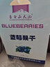 天池印象东北特产蓝莓干不添加油独立小包装蓝莓果干休闲零食礼盒整颗大果 蓝莓果干袋装50g*1袋 实拍图