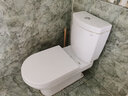 TOTO原装马桶盖TC394 400普通通用马桶盖缓冲座便盖 缓冲盖(10) D型加厚通配款【带缓降】 实拍图