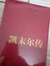 凯末尔传 实拍图
