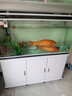 闽江（minjiang）鱼缸水族箱家用屏风生态造景中大型金龙鱼缸客厅免换水鱼缸 纯洁白色（养鱼礼包+造景礼包+升级过滤） 长120.6*宽36.7*高139(缸体+底柜) 实拍图