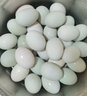 白荡里 鸭蛋 土鸭蛋56g/枚 新鲜鸭蛋农家散养生鸭蛋现捡现发新鲜到家 新鲜土鸭蛋（均重）56g*30枚 实拍图