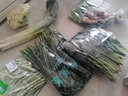 有机菠菜1斤装有机认证新鲜蔬菜食材汇之星 自然生长无激素无农残 500g 实拍图