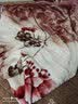 南极人拉舍尔毛毯加厚冬天保暖单人被子午睡毯双人婚庆盖毯四季可用绒毯 心悦情缘JB【加密植绒 更暖更耐用】 150x200cm 约5斤【一触即暖 3秒速热】 实拍图