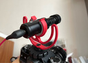RODE 罗德VideoMicro II单反麦克风手机收音麦指向性微单相机采访话筒微电影Vlgo录音 VideoMicro标配+苹果音频连接线 实拍图